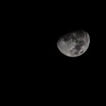 image_922.jpg